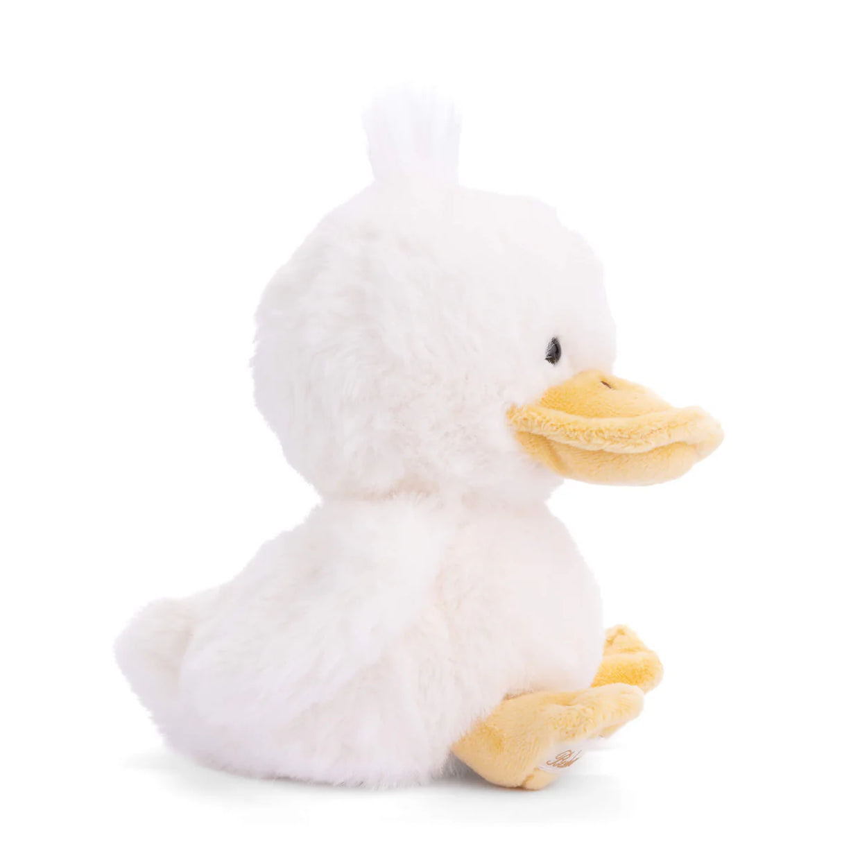Bukowski Baby Quack