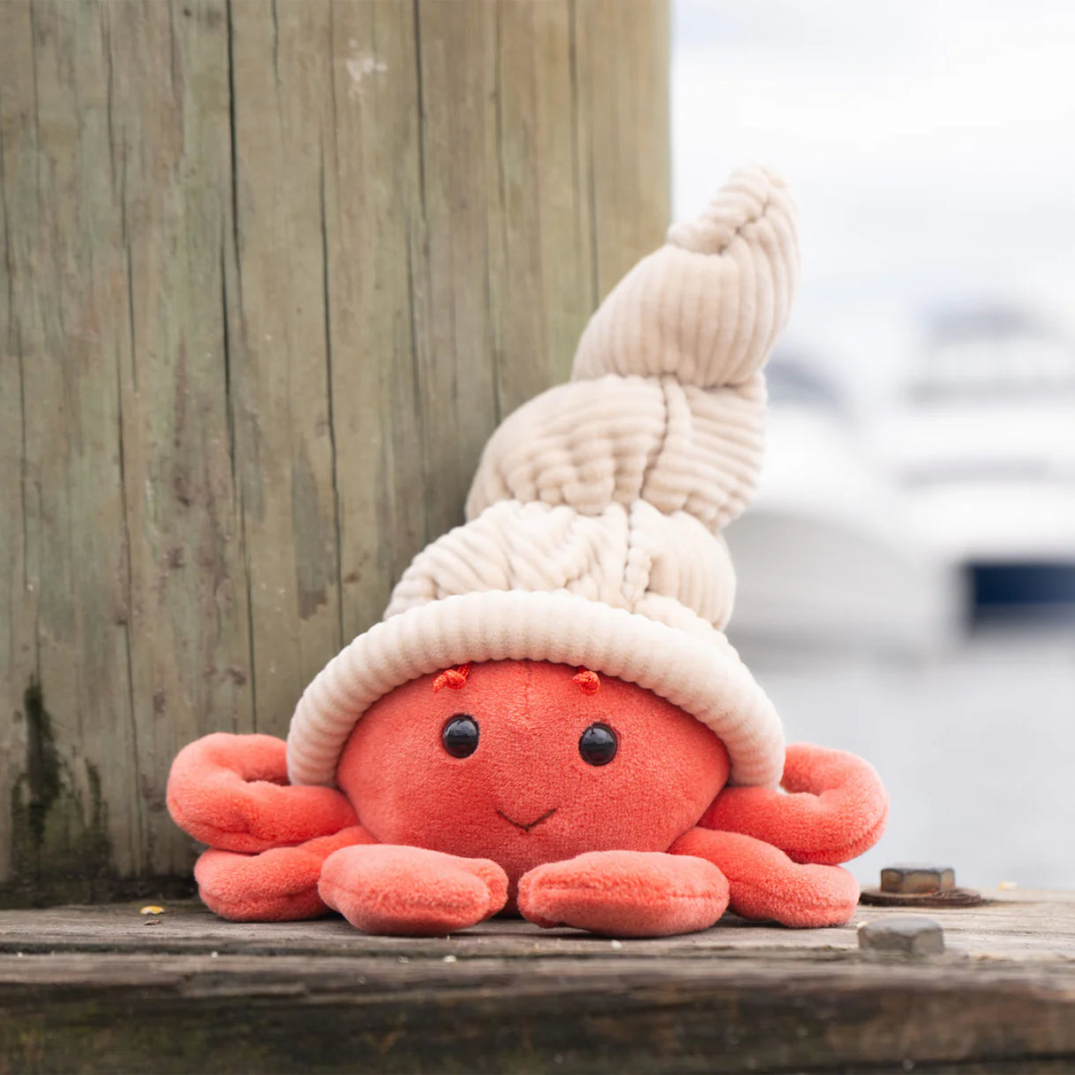 Bukowski Hermit Crab