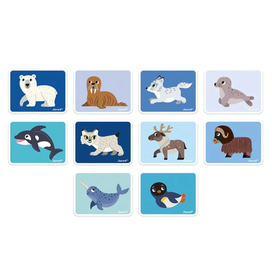 Janod Magnéti'Book - Polar Animals