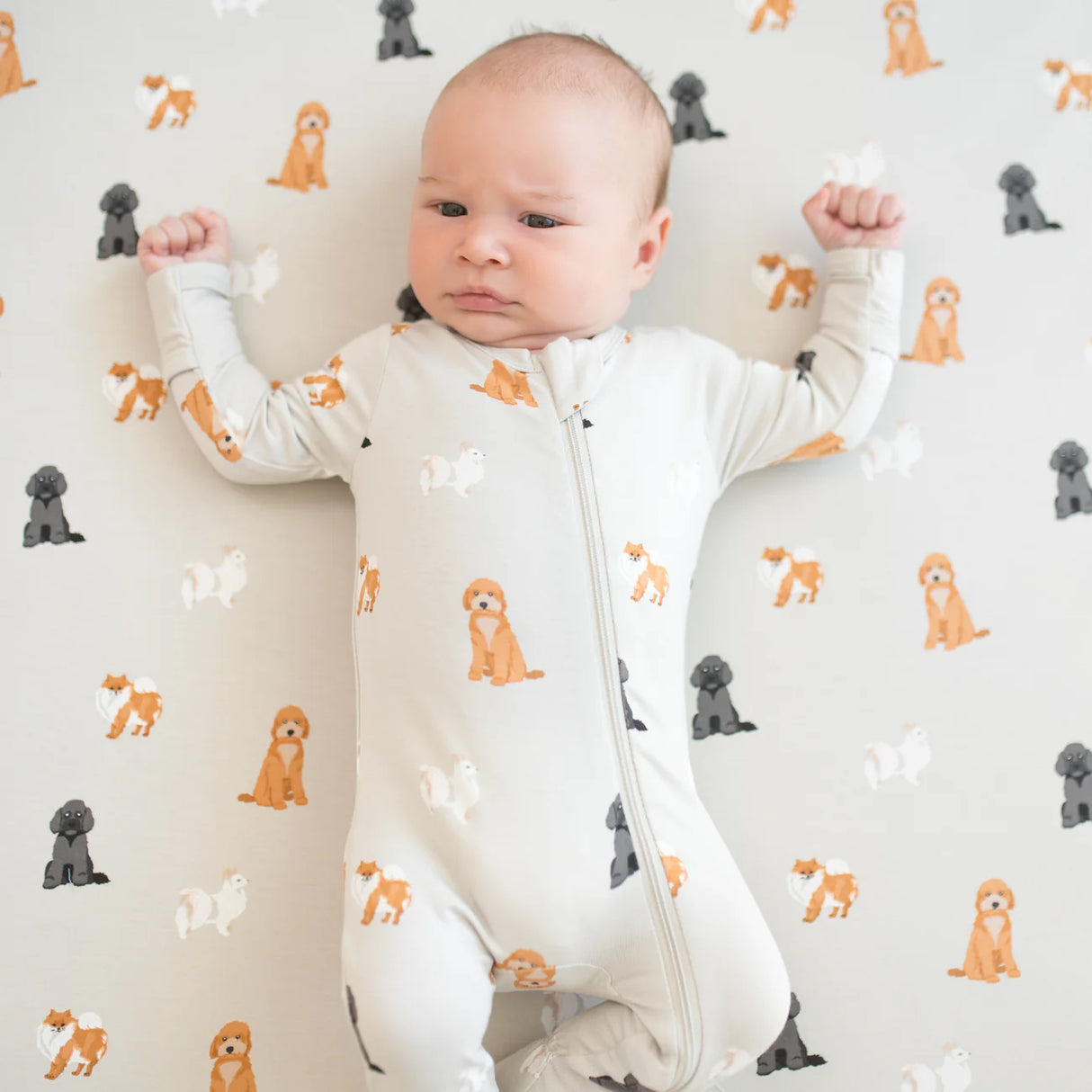 Kyte Baby Zippered Footie - Fluffy Dog