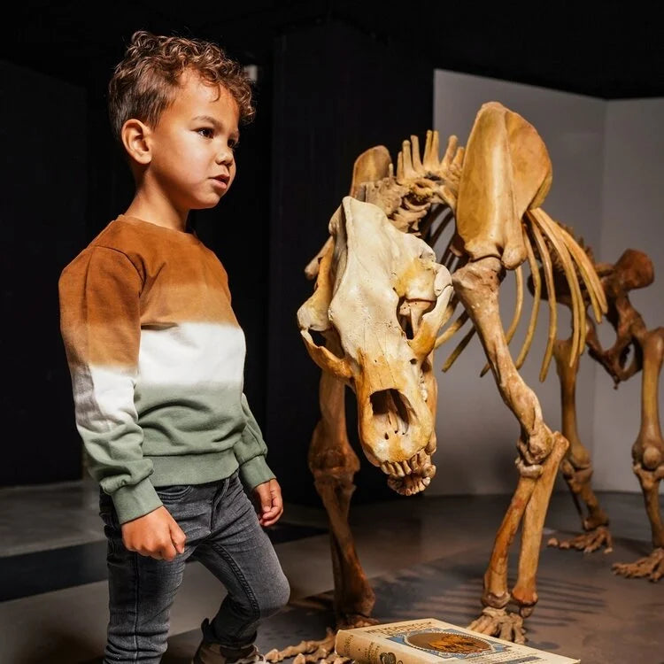 Koko Noko Boys Sweater Dark Brown off White Green