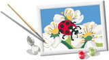 Ravensburger CreArt Painting by Numbers - Ladybug in Nature