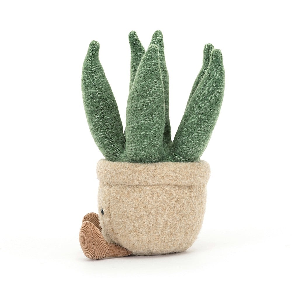 I am small amuseable aloe vera