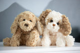 Bukowski Bears Buddy