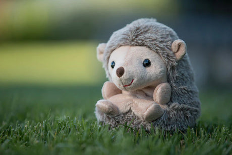 Bukowski Bears Sweet Hubert - Sitting