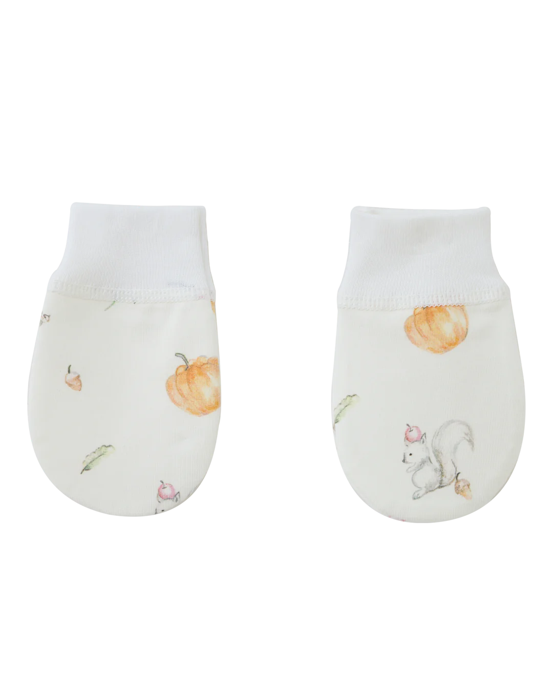 Blara Organic Gift Box Natural Color with Squirrel Print