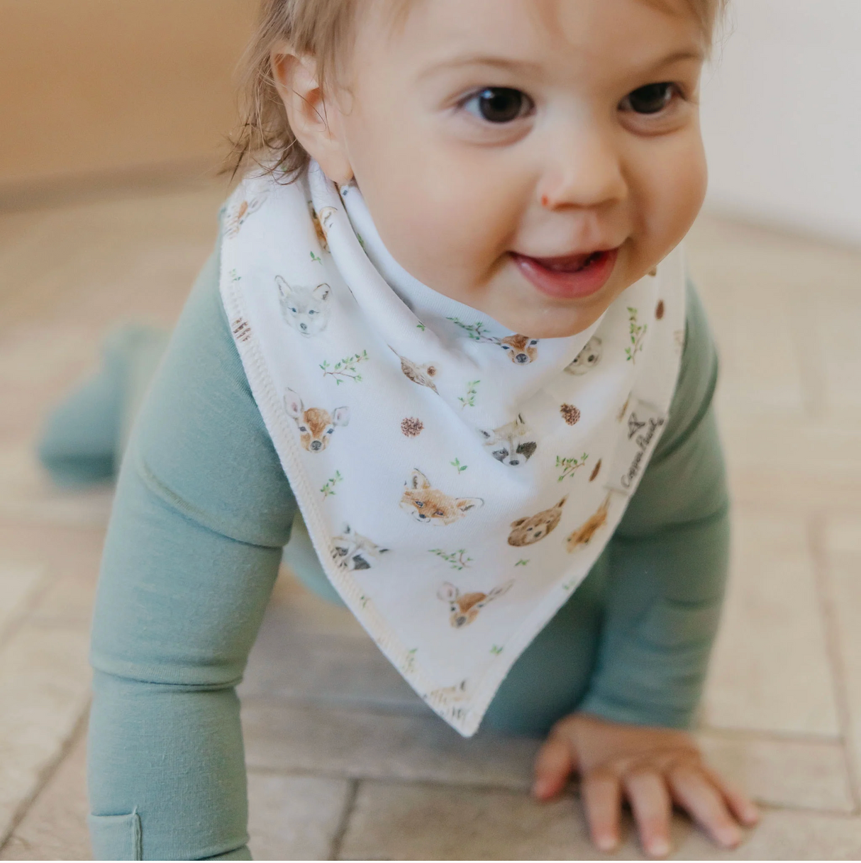 Copper Pearl Baby Bandana Bibs - Wilder
