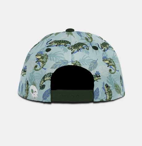 Headster Mister Chameleon Curved Brim Snapback Cap - Crystal