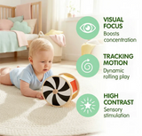 Hape Spinning Drum with Mirror