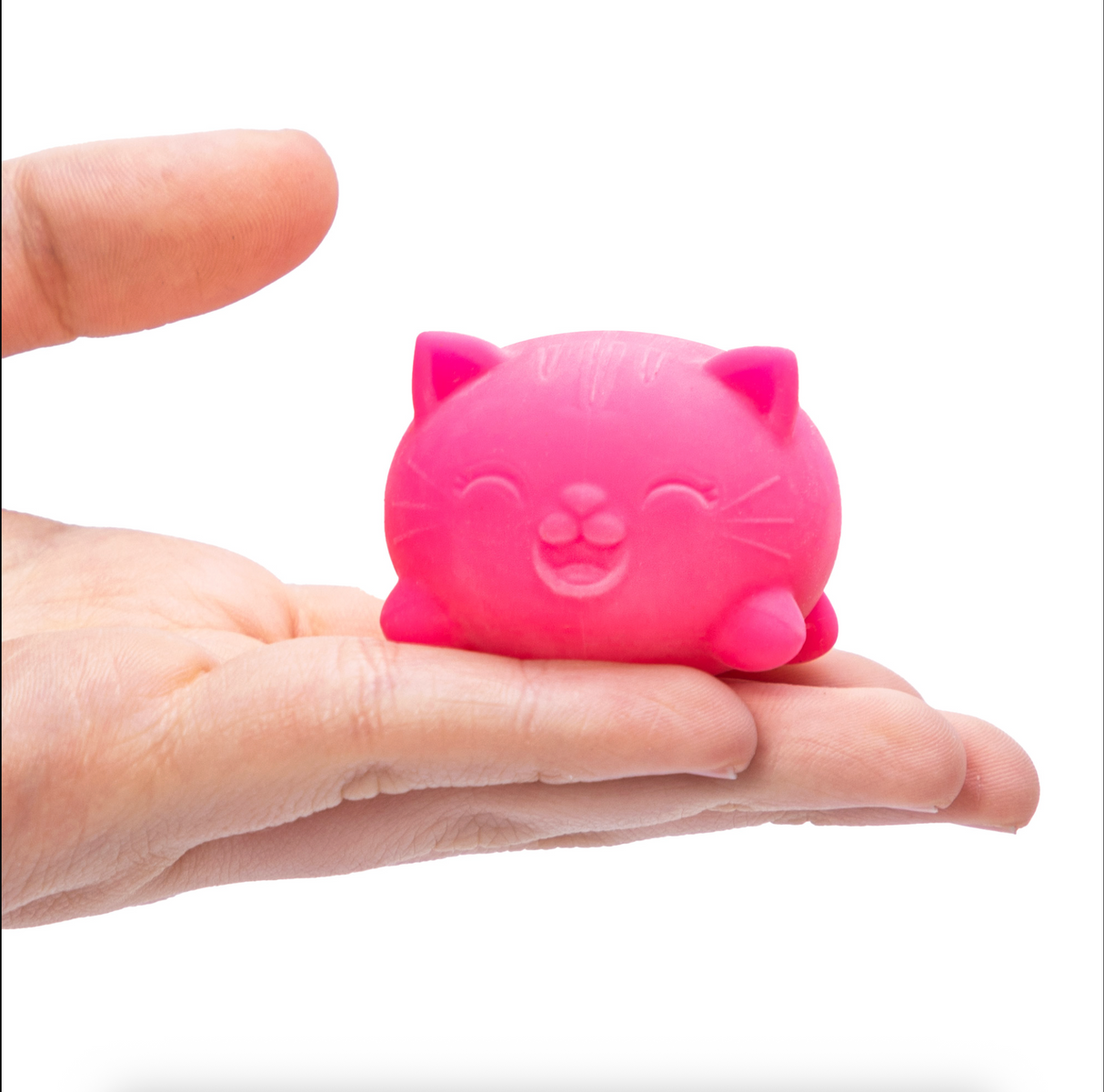 NeeDoh Teenie Cool Cats 3-pack (Random Colors)