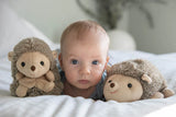 Bukowski Bears Sweet Hubert - Sitting