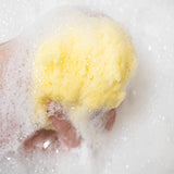 Loot Toy Sandy the Sea Sponge